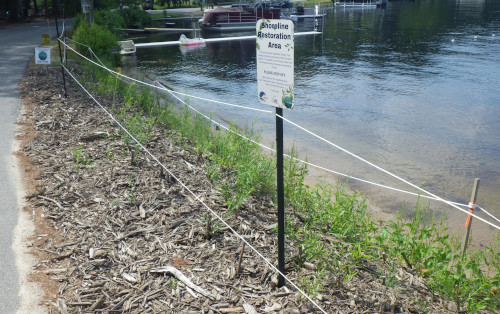 AWWA restoration site