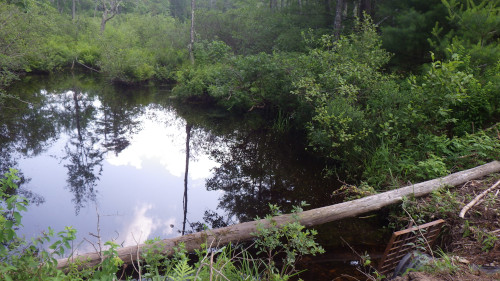 Island Inlet