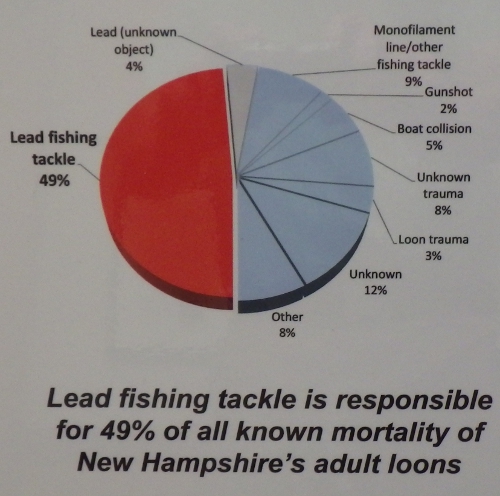 Loon Center Lead Death Pie Chart