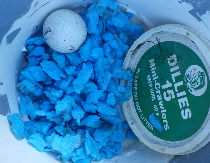 Pail of polystyrene foam collected off Province Lake
