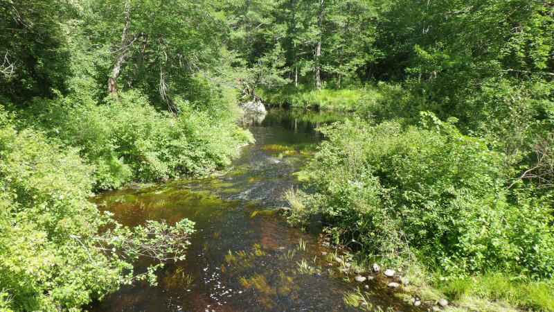 South River at Middle Road_7-31-2022