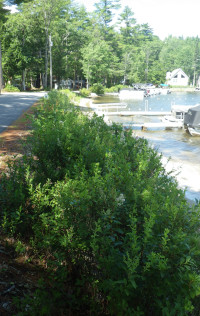 AWWA restoration site