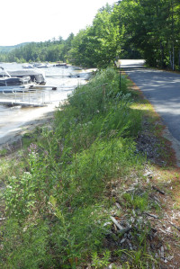 AWWA restoration site