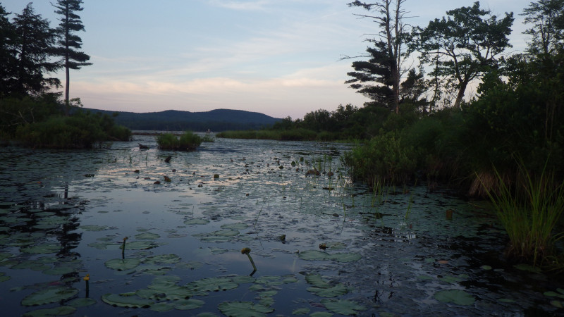 Hobbs Brook 7-2-2025